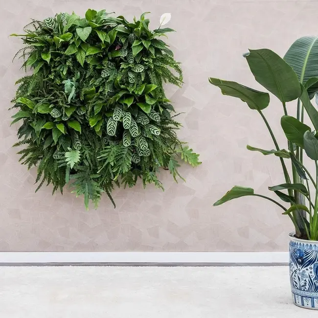 LivePanel PACK 2x2 – Das Komplettsystem für begrünte Wände