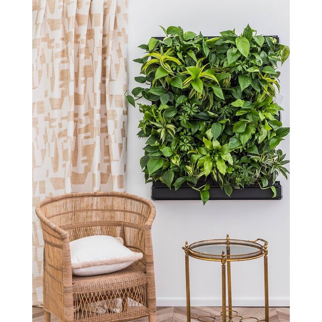 LivePanel PACK 2x2 – Das Komplettsystem für begrünte Wände