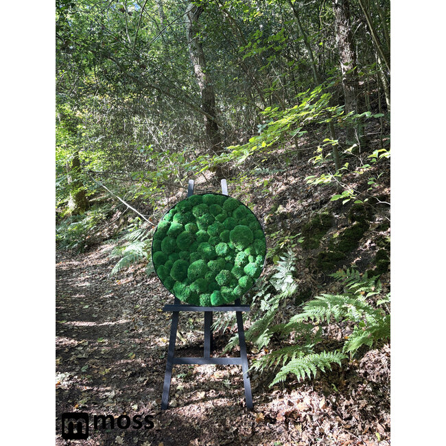 Moosbild Jade Metall 60cm.