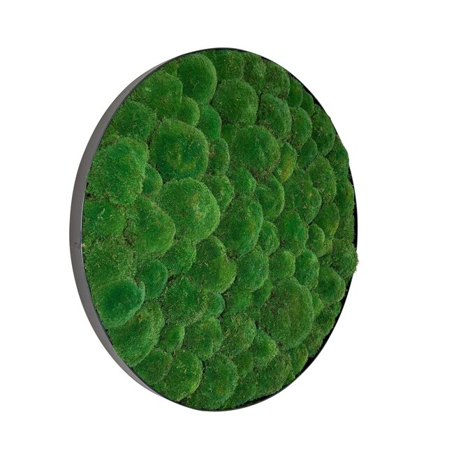 Moosbild Jade Metall 100cm.