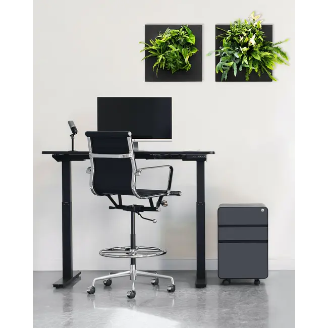 LivePicture GO Bambus schwarz, wandbild von lebenden Pflanzen