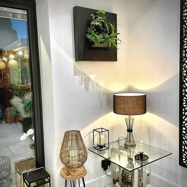 LivePicture GO Bambus schwarz, wandbild von lebenden Pflanzen