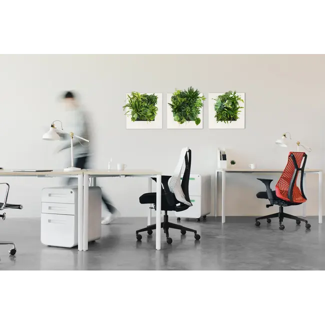 LivePicture GO Bamboo cremefarben