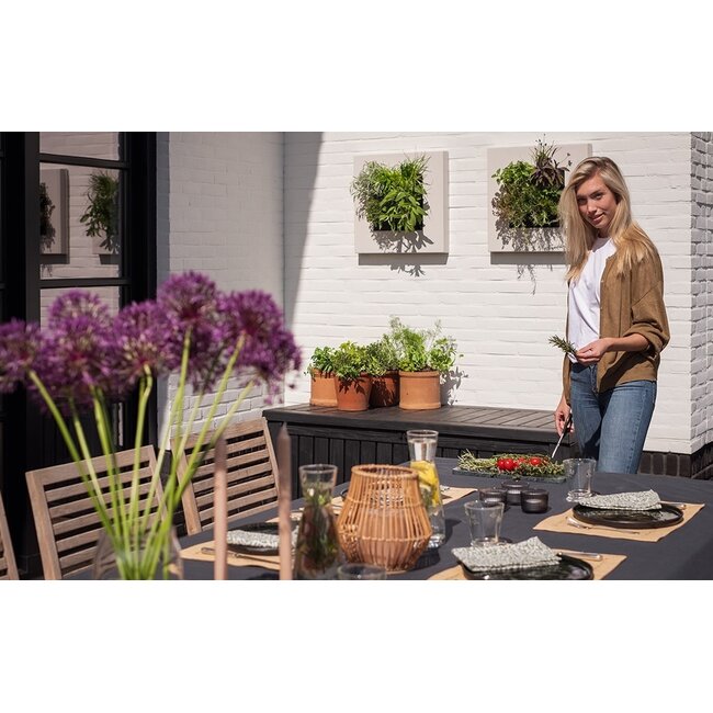 LivePicture GO Bamboo cremefarben