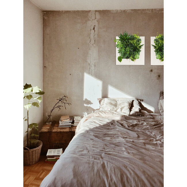 LivePicture GO Bamboo cremefarben