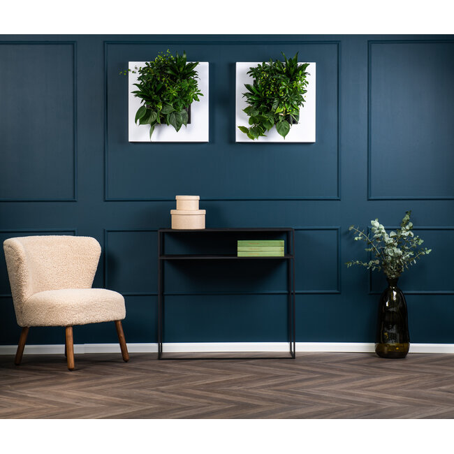 LivePicture GO weiß, wandbild von lebenden Pflanzen