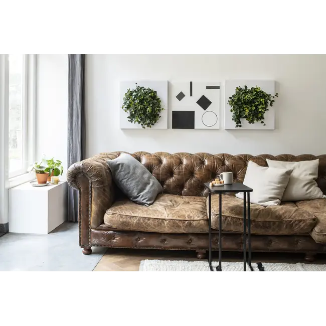 LivePicture GO weiß, wandbild von lebenden Pflanzen