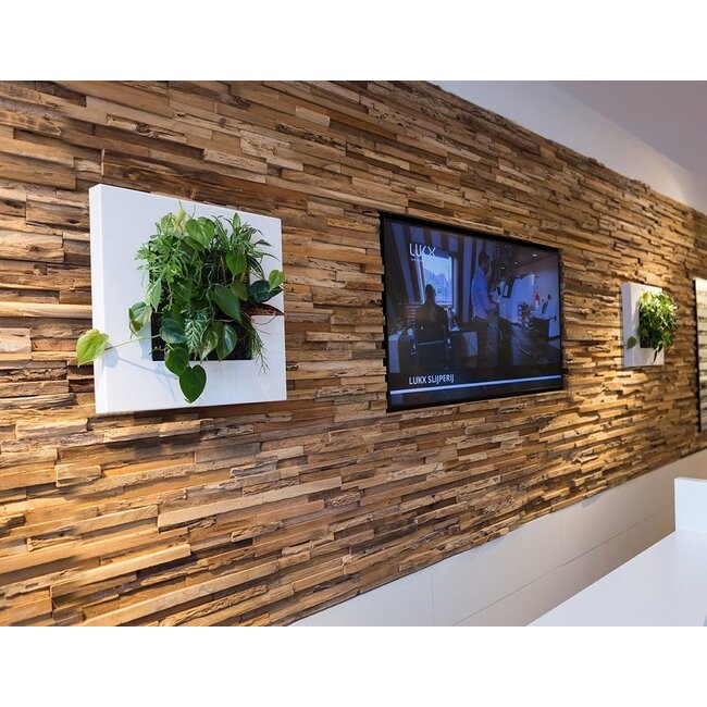 LivePicture GO weiß, wandbild von lebenden Pflanzen