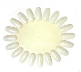 PBP Nagellak Wiel / Color Wheel NATURAL 1 Stuks PBP Nagellak Wiel / Color Wheel NATURAL 1 Stuks