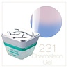 Crystal Nails Crystal Nails Color Gel Chameleon 231 Crystal Nails Crystal Nails Color Gel Chameleon 231