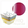 Crystal Nails Crystal Nails Royal Gel R10 TPO vrij OP=OP Crystal Nails Crystal Nails Royal Gel R10 TPO vrij OP=OP