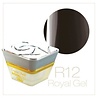 Crystal Nails Crystal Nails Royal Gel R12 TPO vrij OP=OP Crystal Nails Crystal Nails Royal Gel R12 TPO vrij OP=OP