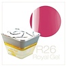 Crystal Nails Crystal Nails Royal Gel R26 TPO vrij OP=OP Crystal Nails Crystal Nails Royal Gel R26 TPO vrij OP=OP