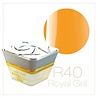 Crystal Nails Crystal Nails Royal Gel R40 TPO vrij OP=OP Crystal Nails Crystal Nails Royal Gel R40 TPO vrij OP=OP