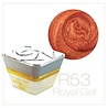 Crystal Nails Crystal Nails Royal Gel R53 TPO vrij OP=OP Crystal Nails Crystal Nails Royal Gel R53 TPO vrij OP=OP