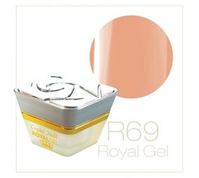 Crystal Nails Crystal Nails Royal Gel R69 TPO vrij OP=OP Crystal Nails Crystal Nails Royal Gel R69 TPO vrij OP=OP