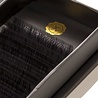 Lash eXtend Lashextend Black Couture Lash D Krul Dikte 0,07 Lash eXtend Lashextend Black Couture Lash D Krul Dikte 0,07