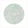 Crystal Nails Crystal Nails Mermaid Glitter Powder #1 Crystal Nails Crystal Nails Mermaid Glitter Powder #1