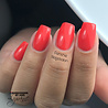 LoveNess LoveNess Gel Polish Flamingo Fever 196 LoveNess LoveNess Gel Polish Flamingo Fever 196