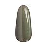 Florence Nails Florence Nails Gelpolish Lizard Leaf (Cat Eye) 100.124.148 Florence Nails Florence Nails Gelpolish Lizard Leaf (Cat Eye) 100.124.148