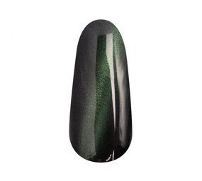 Florence Nails Florence Nails Gelpolish Cat-Eye Lizard Leaf 100.124.148  *niet leverbaar*