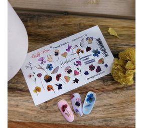 LoveNess Loveness Water Decal True Color 123 (LOTC123) LoveNess Loveness Water Decal True Color 123 (LOTC123)