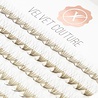 Lash eXtend Lash eXtend Velvet Couture Wide Fans 4D 0.07 CC Mix Lash eXtend Lash eXtend Velvet Couture Wide Fans 4D 0.07 CC Mix