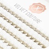 Lash eXtend Lash eXtend Velvet Couture Wide Fans 4D 0.07 D Mix *momenteel uitverkocht* Lash eXtend Lash eXtend Velvet Couture Wide Fans 4D 0.07 D Mix *momenteel uitverkocht*