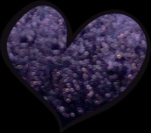 LoveNess LoveNess Pigment Aquaplum LoveNess LoveNess Pigment Aquaplum