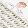Lash eXtend Lash eXtend Velvet Couture Narrow Fans 6D 0,07 CC MIX *momenteel uitverkocht* Lash eXtend Lash eXtend Velvet Couture Narrow Fans 6D 0,07 CC MIX *momenteel uitverkocht*