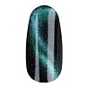 Crystal Nails Crystal Nails Tiger Eye MULTIFORM Magnet Crystal Nails Crystal Nails Tiger Eye MULTIFORM Magnet