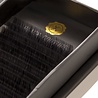 Lash eXtend LasheXtend Black Couture CC Mix Krul 0,07 Dikte Lash eXtend LasheXtend Black Couture CC Mix Krul 0,07 Dikte