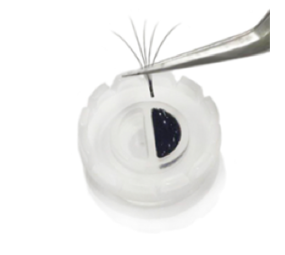 Blink Lashes Blink Fanning Cups 5 stuks