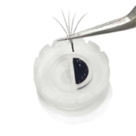 Blink Lashes Blink Fanning Cups 5 stuks Blink Lashes Blink Fanning Cups 5 stuks