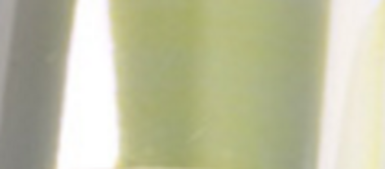 LoveNess LoveNess Shattered Glass 5 LoveNess LoveNess Shattered Glass 5