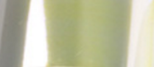 LoveNess LoveNess Shattered Glass 5 LoveNess LoveNess Shattered Glass 5