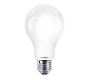PBP Philips Pro Mat 13W Daglicht Lamp E27 PBP Philips Pro Mat 13W Daglicht Lamp E27