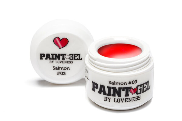 LoveNess LoveNess Paint Gel #06 Salmon 5 gr TPO/HEMA vrij