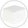 PBP PBP Fiberglass BASIC Strip Clear (+/- 90 cm) PBP PBP Fiberglass BASIC Strip Clear (+/- 90 cm)