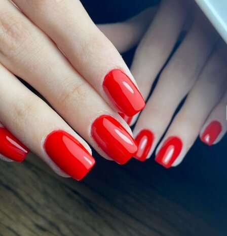 Florence Nails Florence Nails Gelpolish Amarone 100.124.227 TPO/HEMA vrij