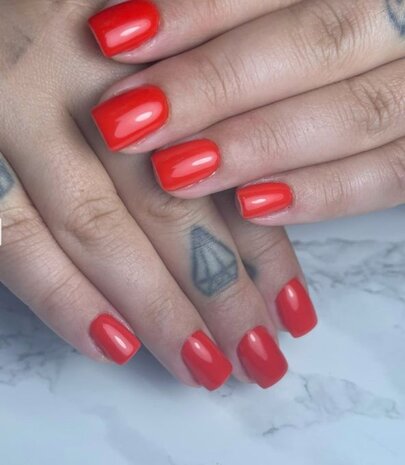 Florence Nails Florence Nails Gelpolish Cabernet 100.124.225 TPO/HEMA vrij Florence Nails Florence Nails Gelpolish Cabernet 100.124.225 TPO/HEMA vrij