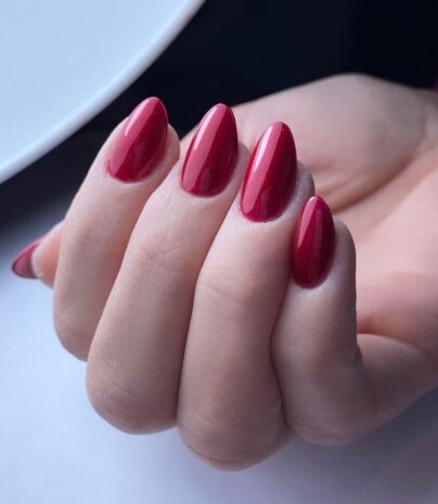 Florence Nails Florence Nails Gelpolish Chicago Glam 100.124.153 TPO/HEMA vrij