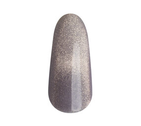 Florence Nails Florence Nails Gelpolish Cat-Eye Dew Silver 100.123.99-S - TPO/HEMA vrij