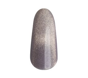 Florence Nails Florence Nails Gelpolish Cat-Eye Morning Dew Silver 100.123.99-S - TPO/HEMA vrij