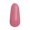 Florence Nails Florence Nails Gelpolish Bellini Blush 10 ml 100.124.391-S TPO/HEMA vrij Florence Nails Florence Nails Gelpolish Bellini Blush 10 ml 100.124.391-S TPO/HEMA vrij