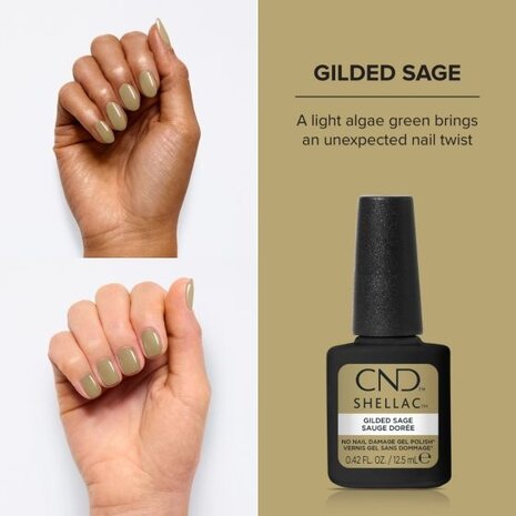 CND CND™ SHELLAC™ Gilded Sage #433 - 12,5 ml CND CND™ SHELLAC™ Gilded Sage #433 - 12,5 ml
