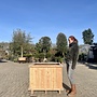 Robuuste douglas houten boombak / plantenbak 100 cm