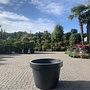 Kunststof plantenbak / bloembak Pisa antraciet 95 cm