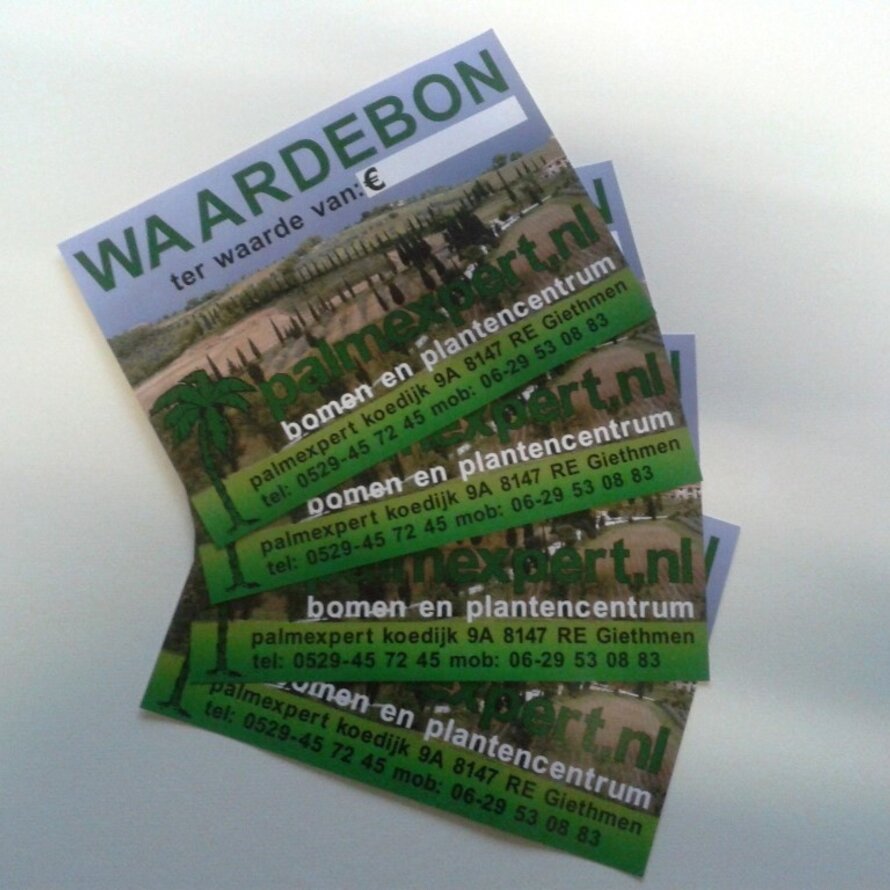 Waardebon / Cadeaubon