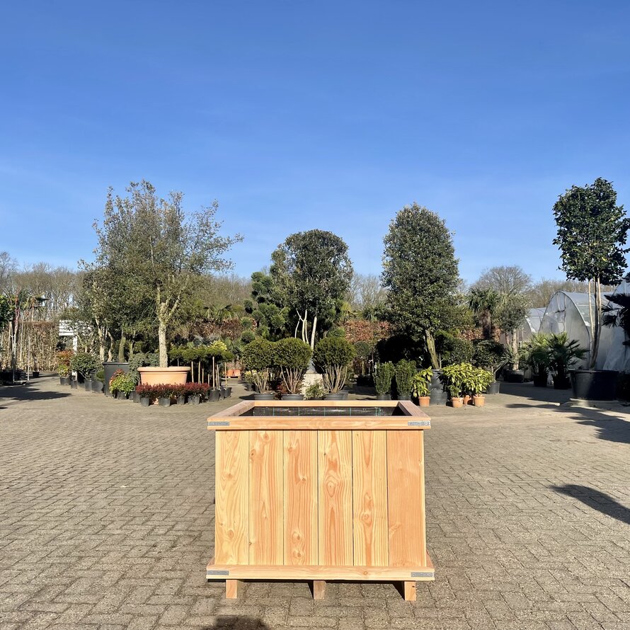 Robuuste douglas houten boombak / plantenbak